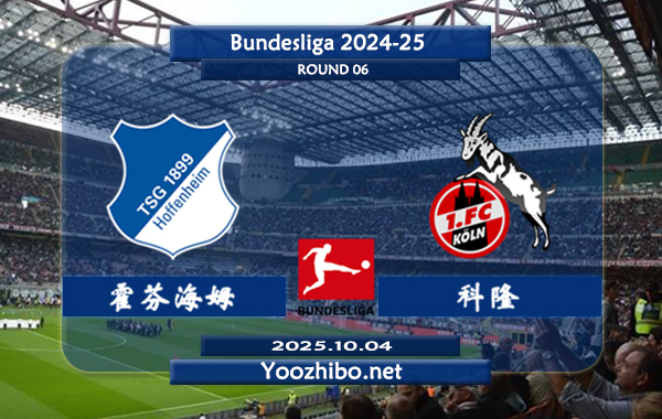 霍芬海姆vs科隆赛事前瞻分析：霍芬海姆主场赢球率达100%